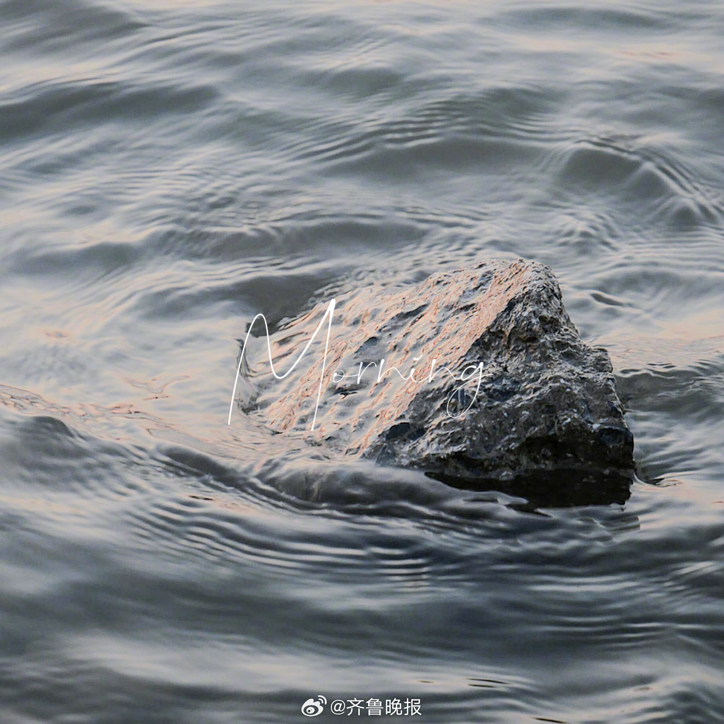 走起来你才能知道方向#早安#