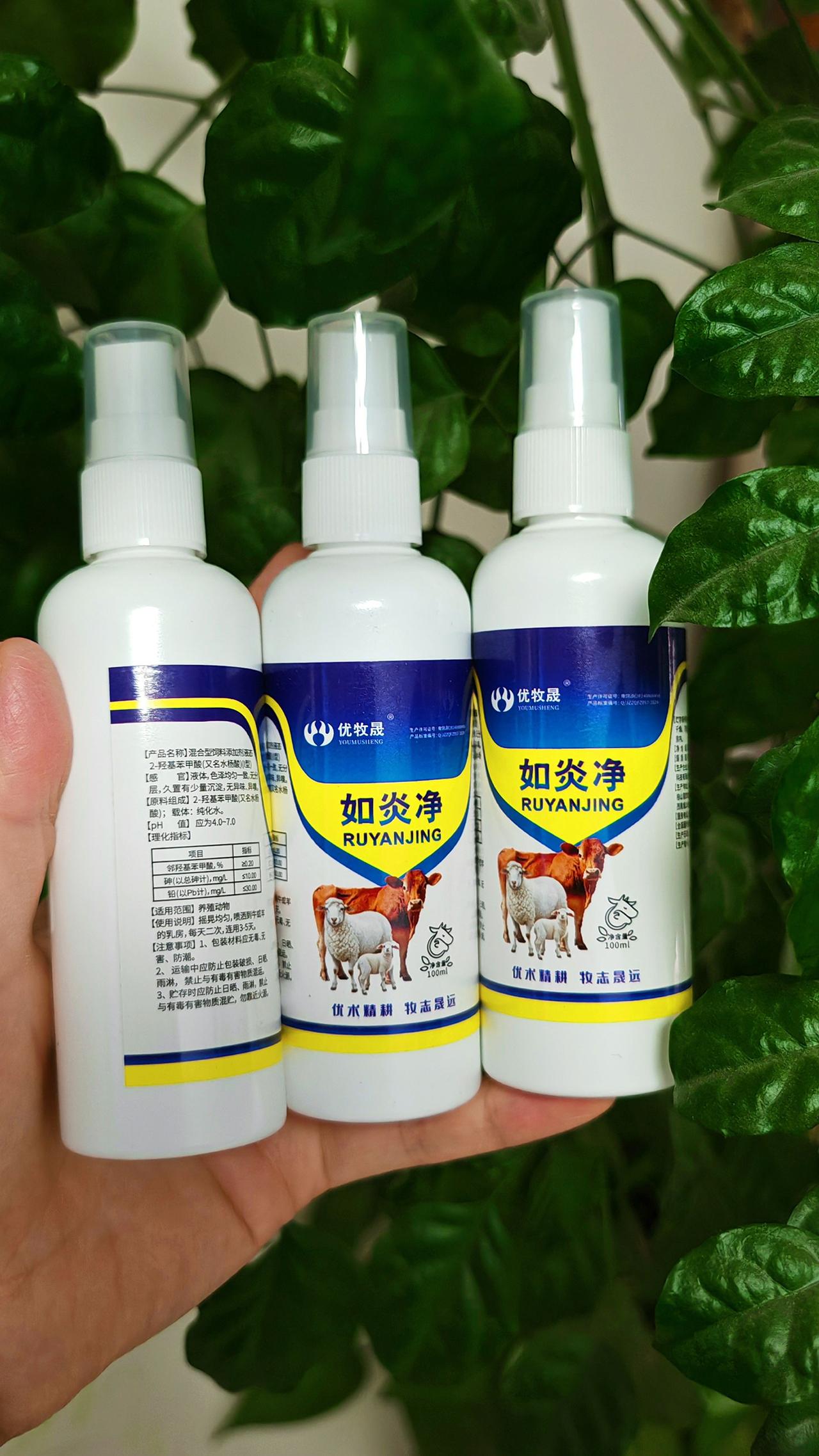 养羊人 农村养羊 牛羊养殖