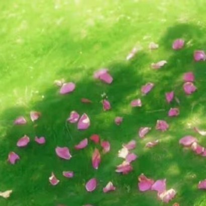 愿我们都能，在风雨里收获成长，更笃定更明媚，更温暖，愿我们遇见所有好运，日月星辰