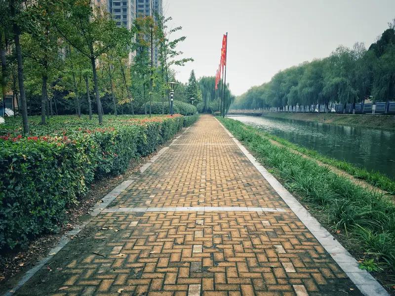 我每天都会坚持散步，这已经成了生活里不可或缺的一部分。就像村上春树每天坚持跑步一