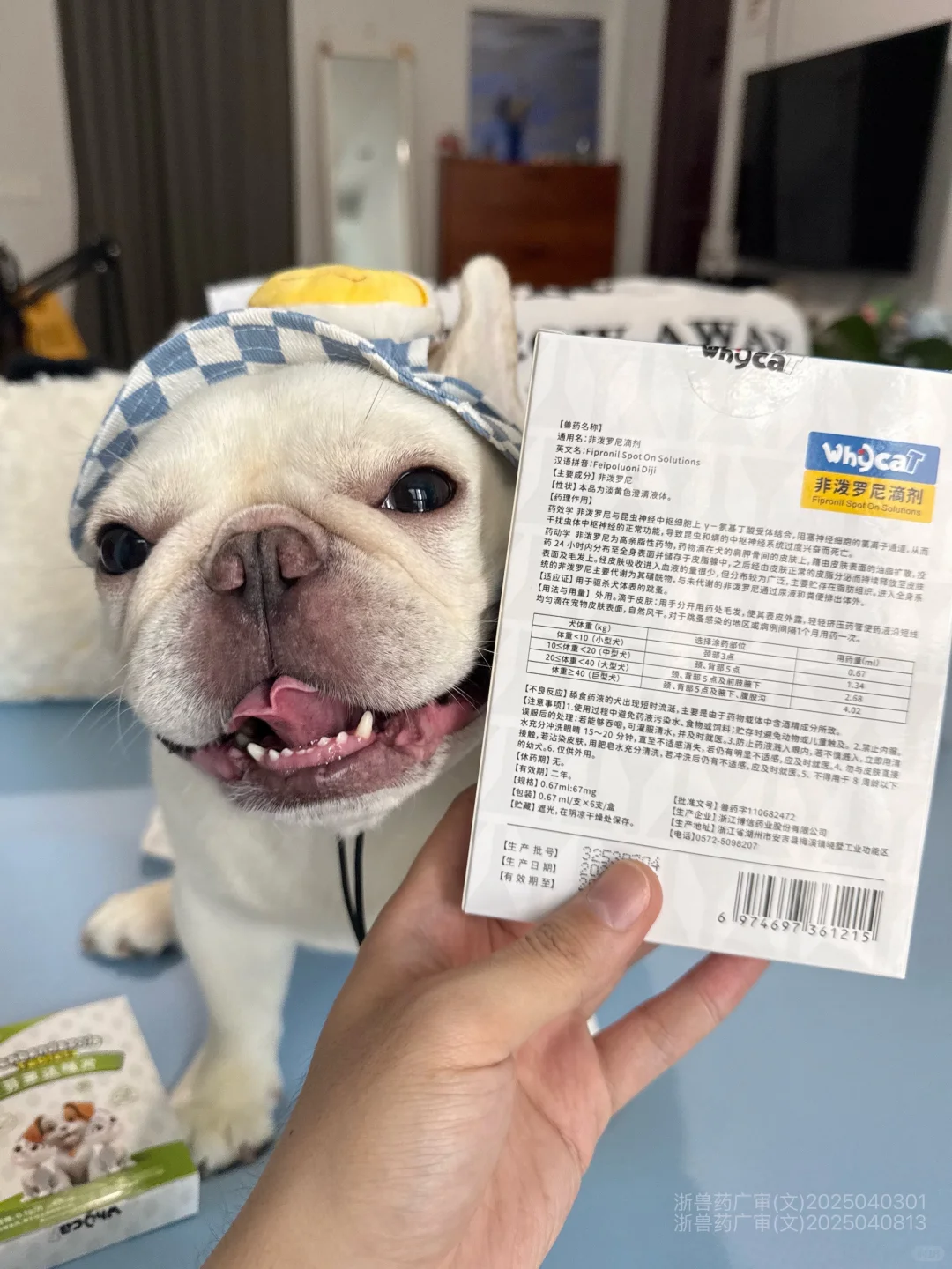 用完whycat驱虫半年多的真实感受...