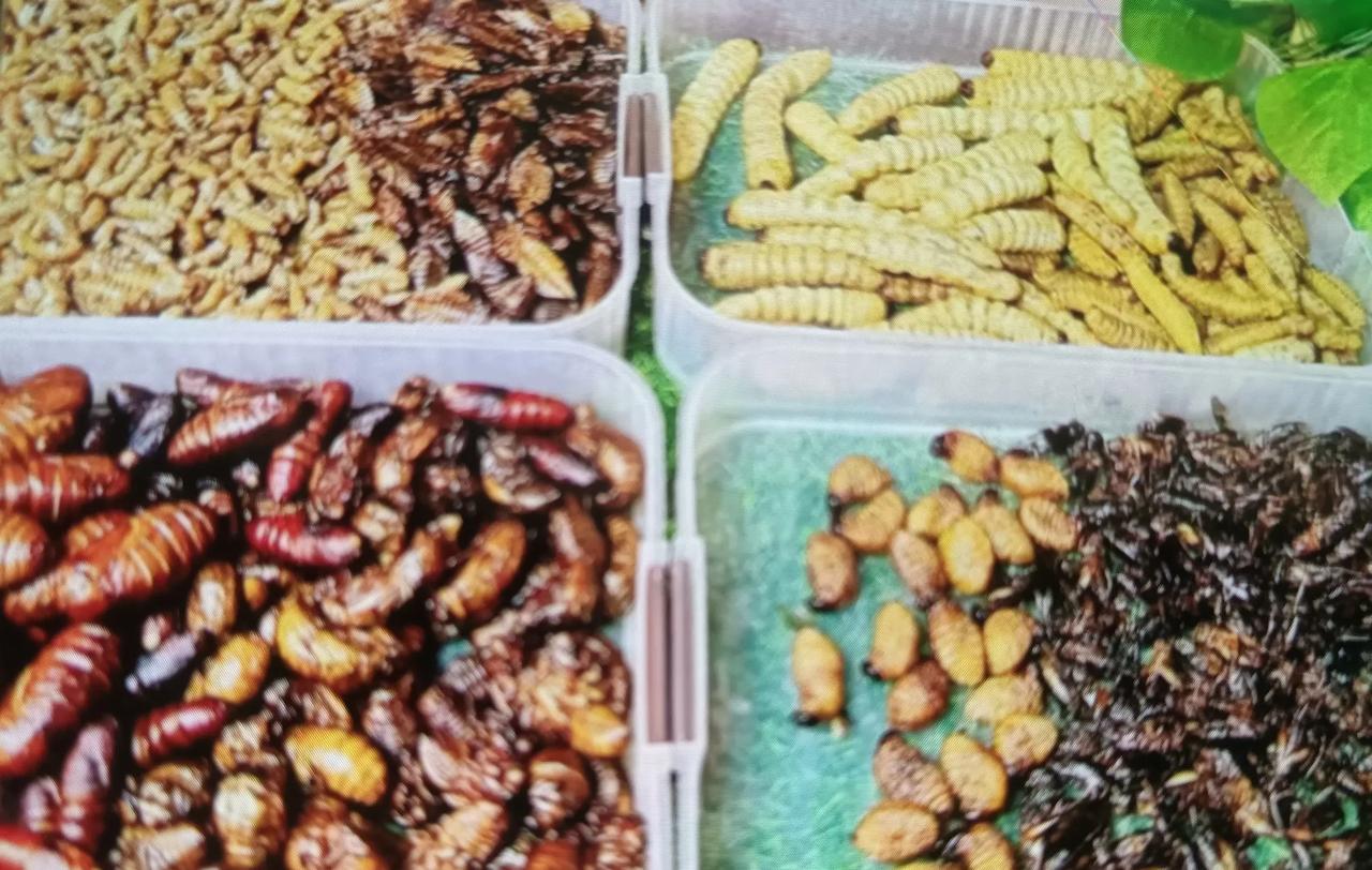 为什么我的头条没人看
原来要想火的秘密在这里呀
现在头条流行这样的形式啦
就是不