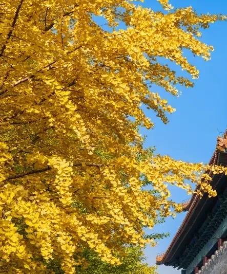 对联的妙处从不是死磕格律，而是藏在文字里的时光回响。你看“春伴飞絮来”多绝，春携