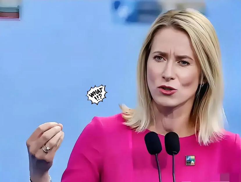 欧州第一傻， 欧盟外长卡拉斯北京时间18日在社交媒体发文：美国对格棱兰岛主权的索