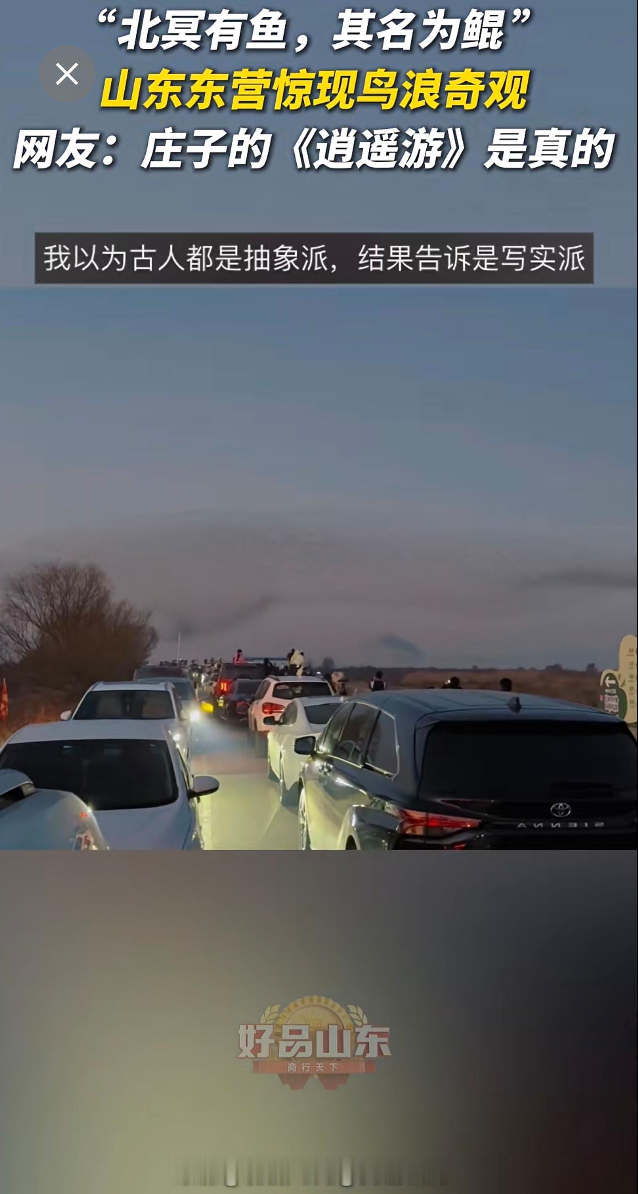 这一刻真正懂得了庄子的浪漫！近日，山东东营黄河口惊现鸟浪奇观，成千上万的候鸟集群