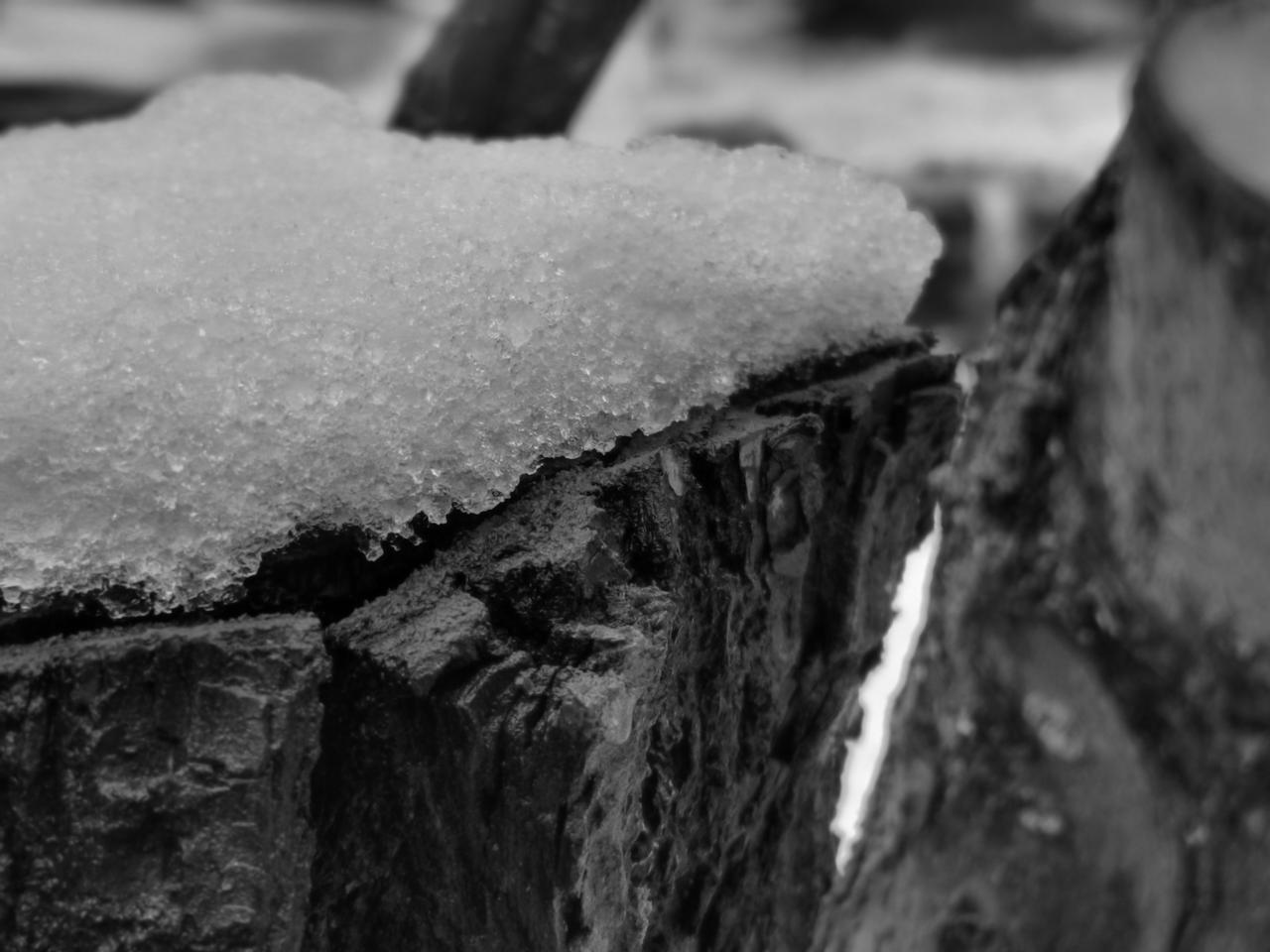 很久没有聊过创作心得了，也没有晒过收益了，有的账号专门晒收益，这也是一种路子。但