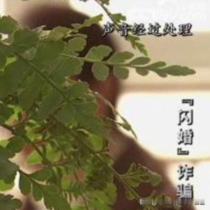 河南南阳一名男子经婚恋中介结识外地女子，为成婚掏空家中积蓄、四处借钱，前后合计花