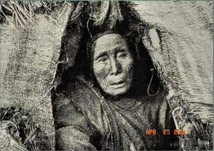 1950年，清剿湖南6万残匪的军长杨梅生路过小镇，见一乞丐老太酷似亡母，派警卫去