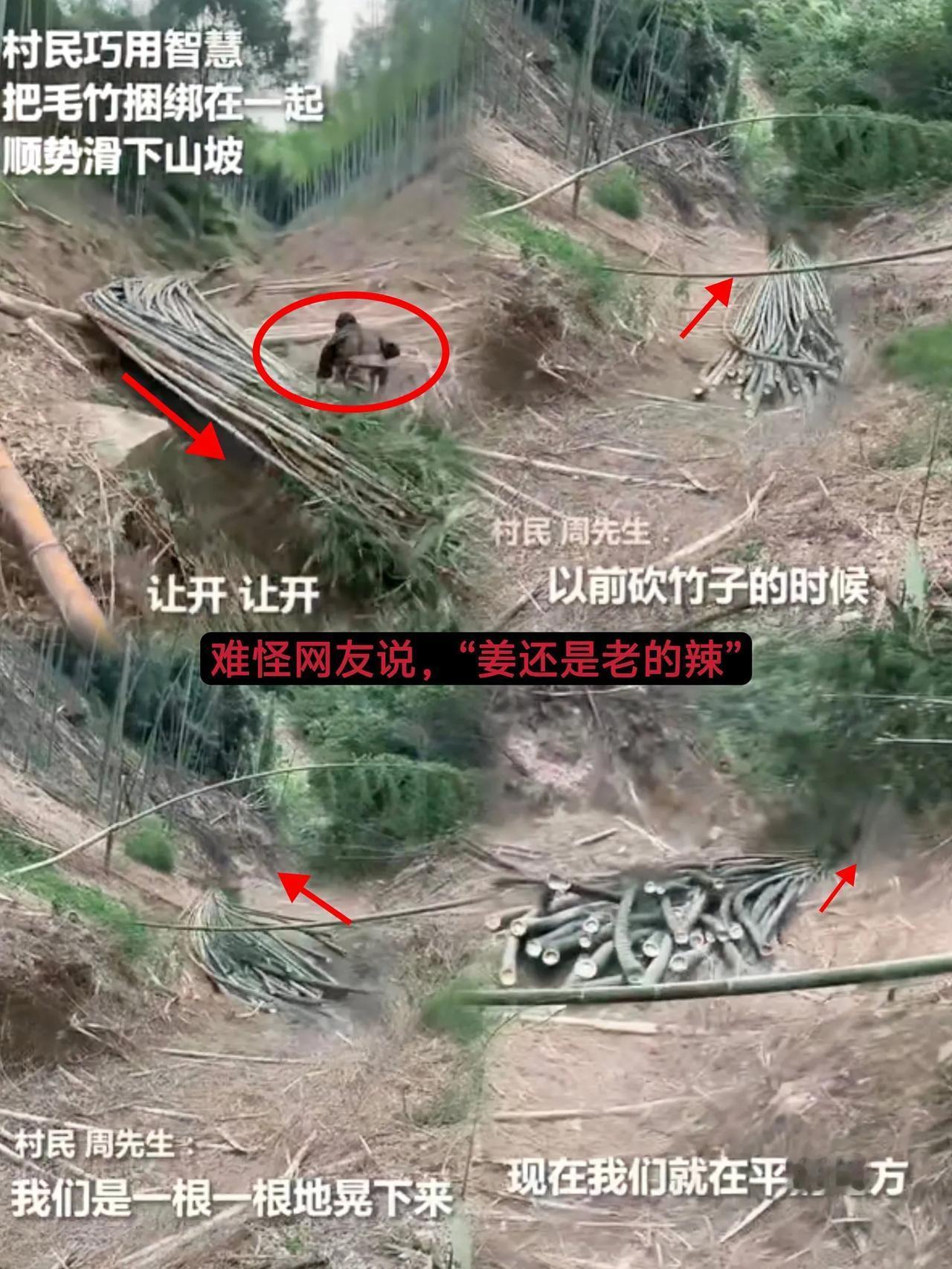 “哎呀，这真的是彻底解释不清啦！”浙江杭州发生了件超有趣的事儿。
男子和父亲上山