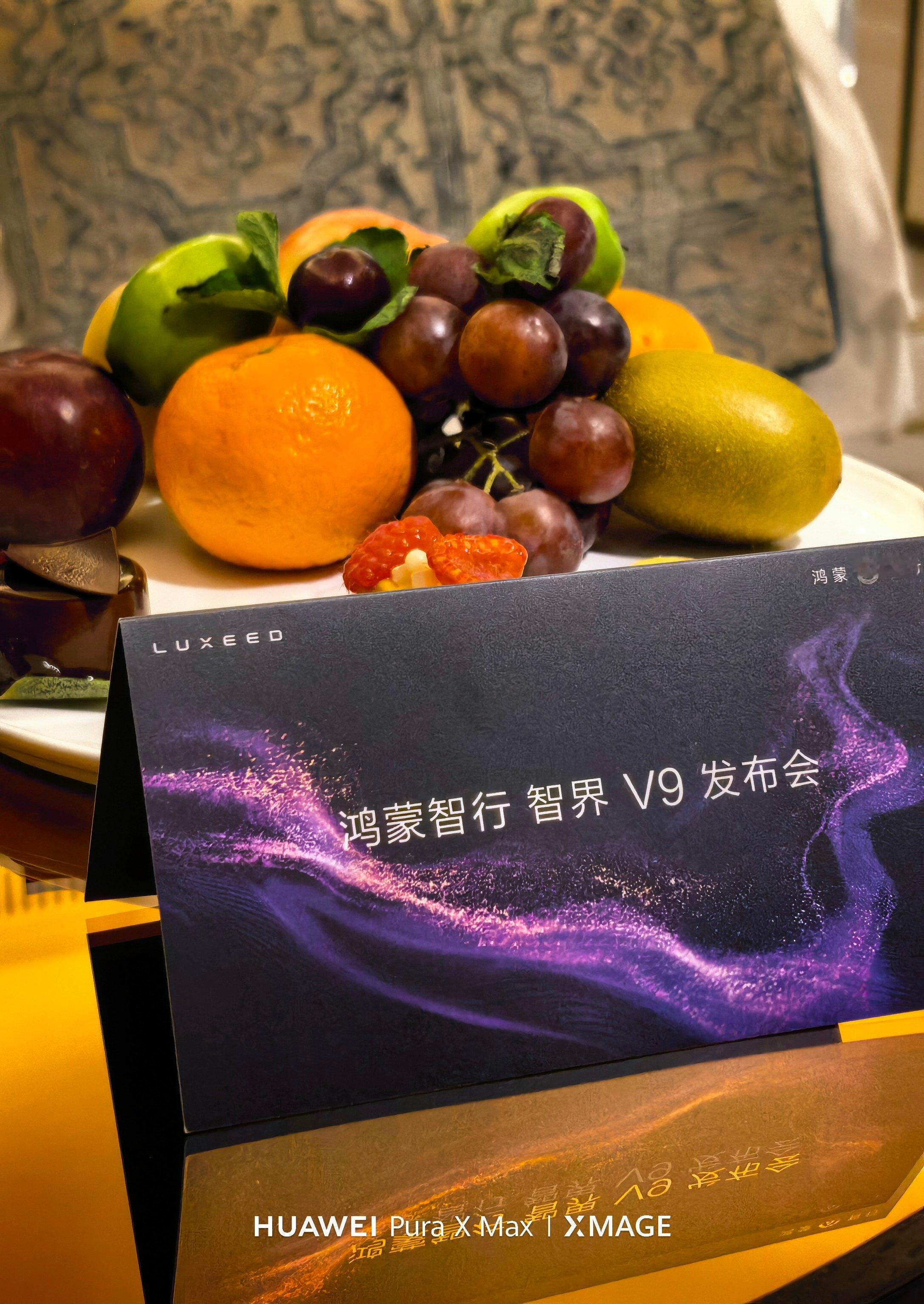 来智界V9的发布会 明天能看到刘亦菲吧