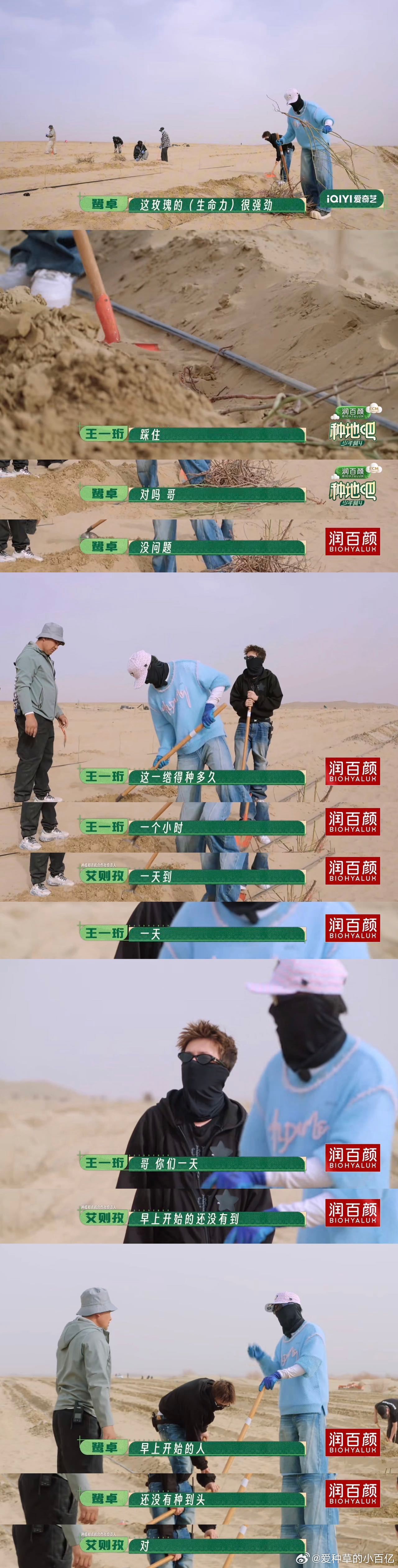 种地吧沙漠种玫瑰 开启沙漠耕耘之旅！认真学习沙地防护与栽种技术，搭建防风林后分组
