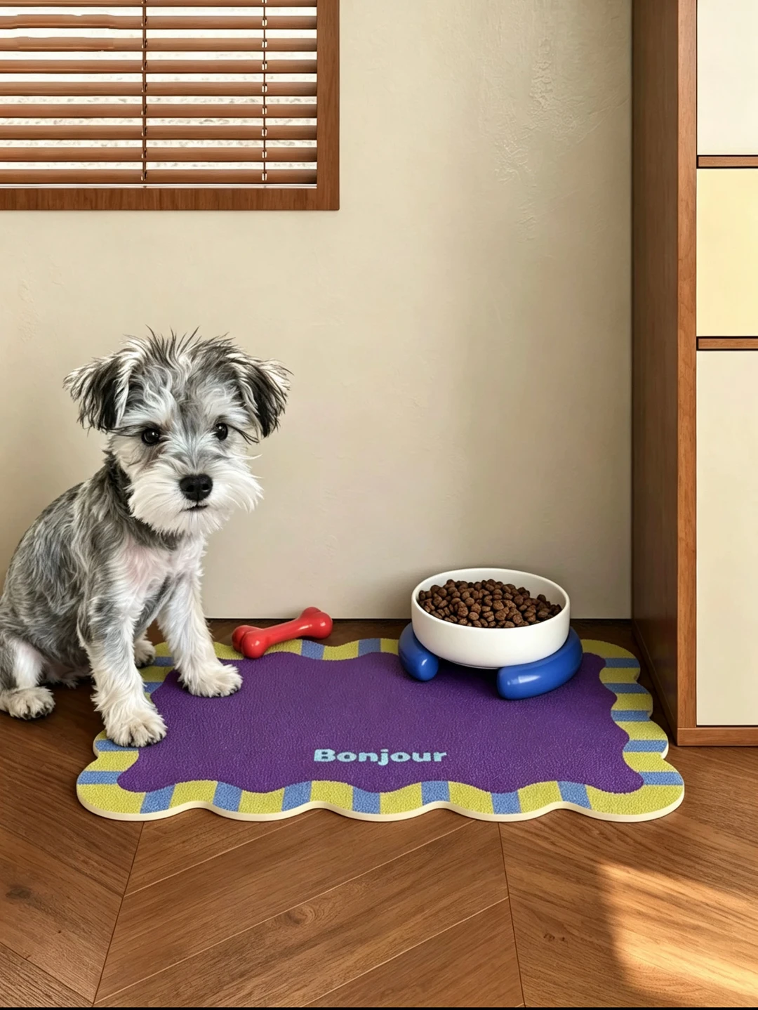 挖到宝！🐶给小狗小咪安排上彩色宠物食堂🐾