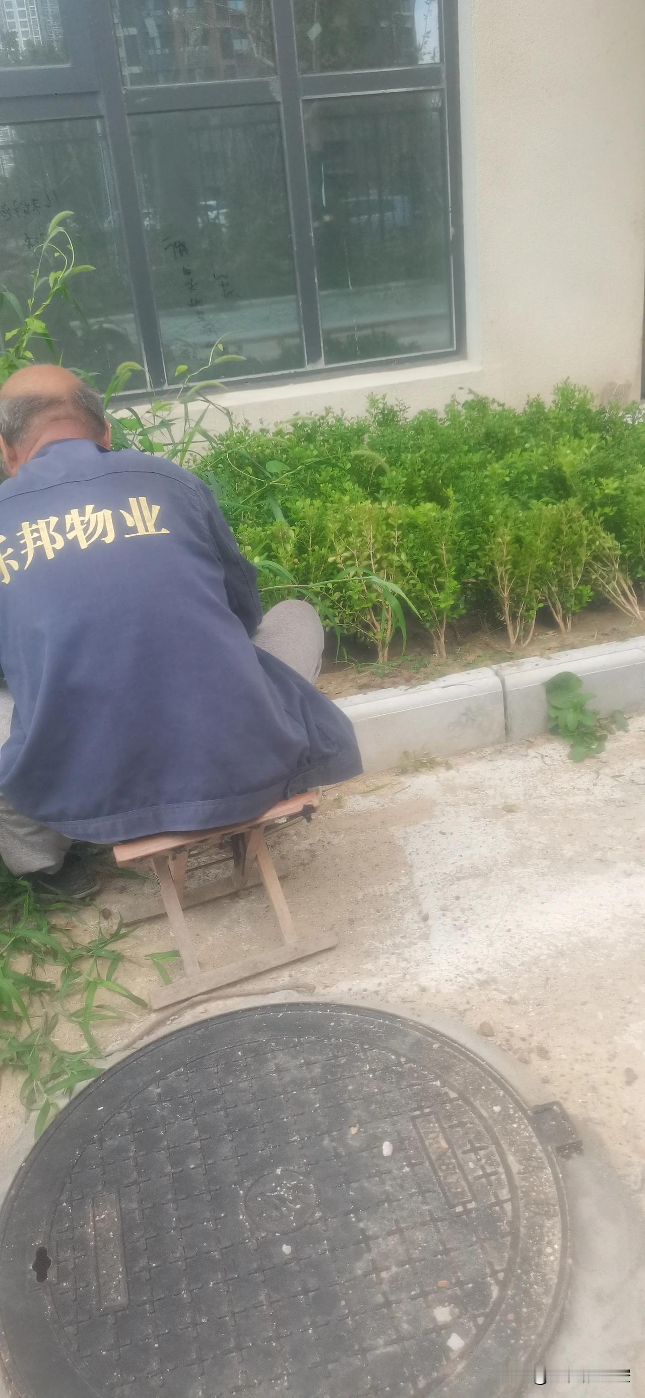 夏日生活打卡季