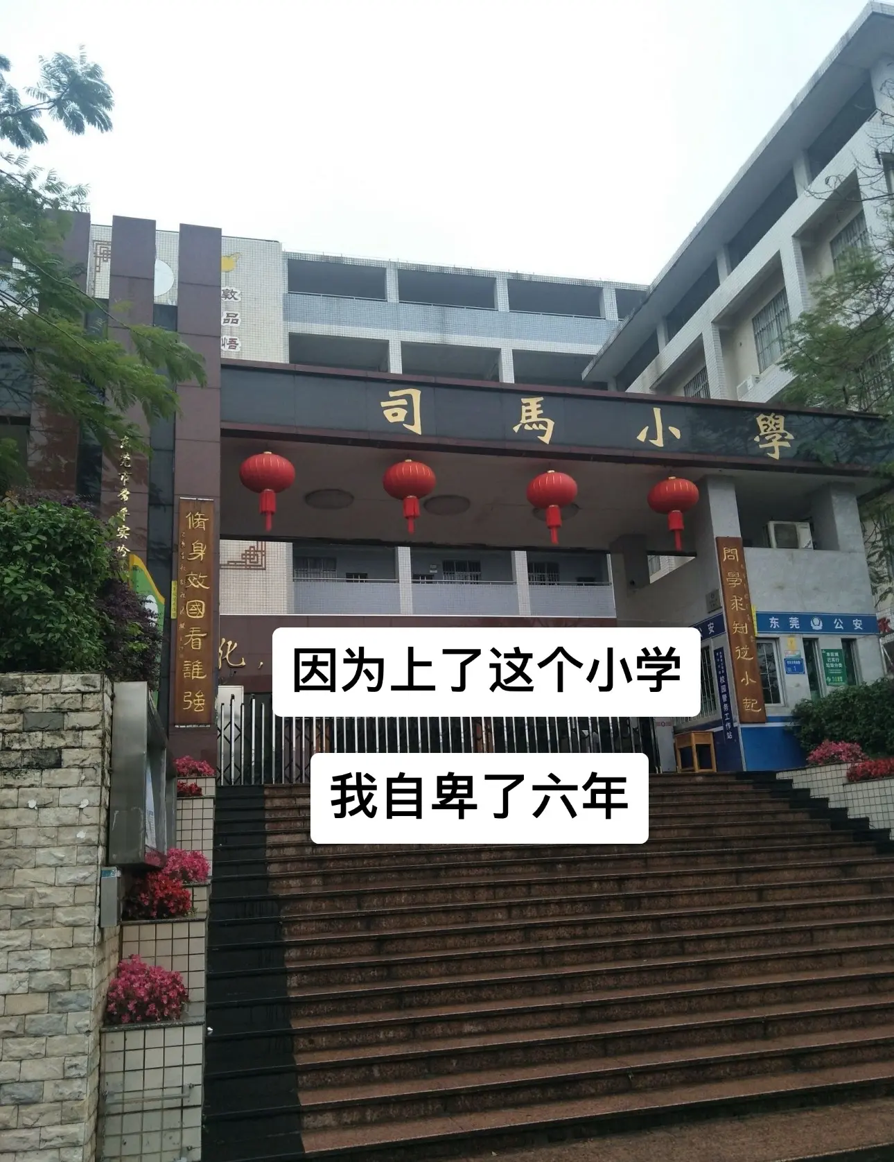 校园 母校 学校 记录生活 司马小学