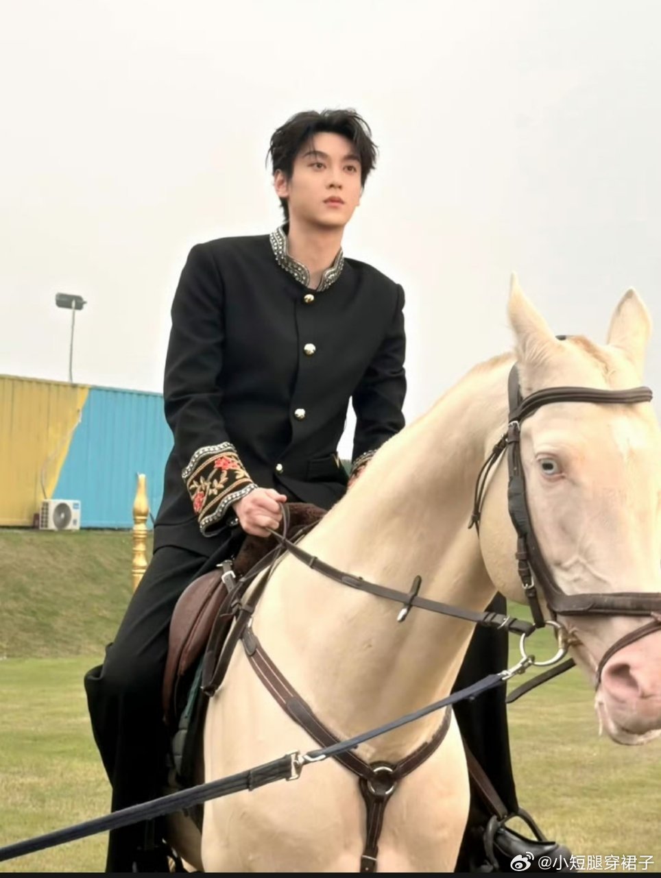 田栩宁 微博营业这就是柠檬水的白马王子吗 