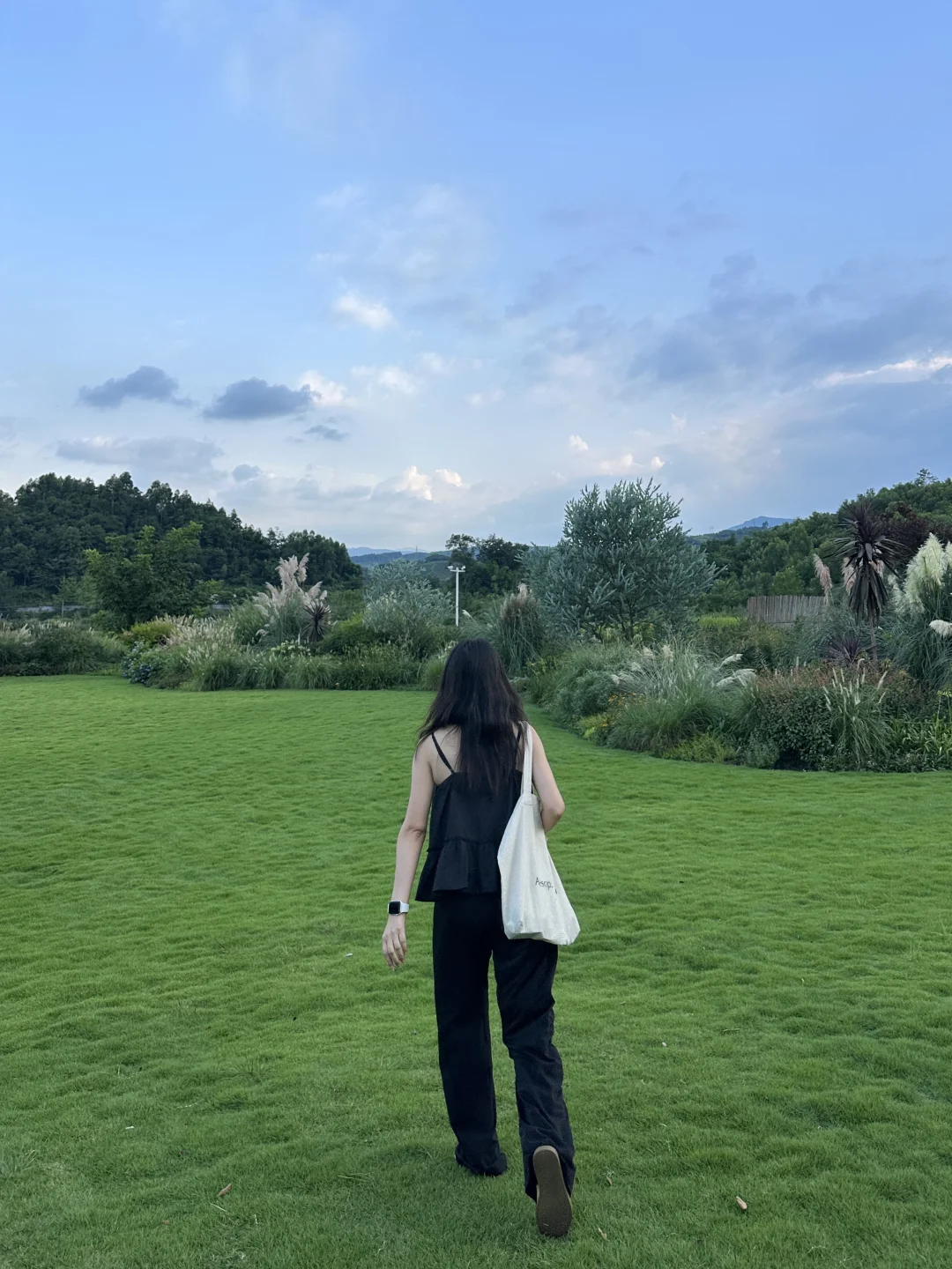 高桥里 我又来啦！🌳