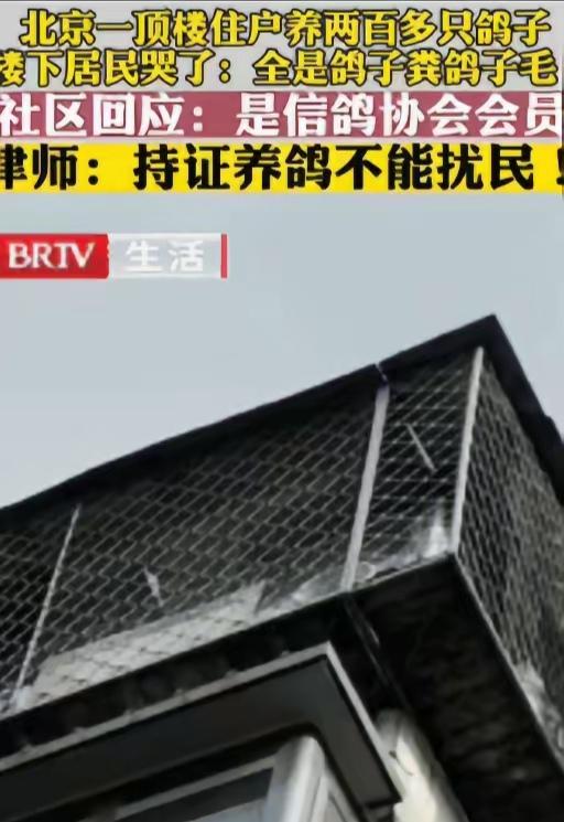 『  血亏啊！』北京，一位李先生，花了235万买了一套房子，结果因为楼上的住户养