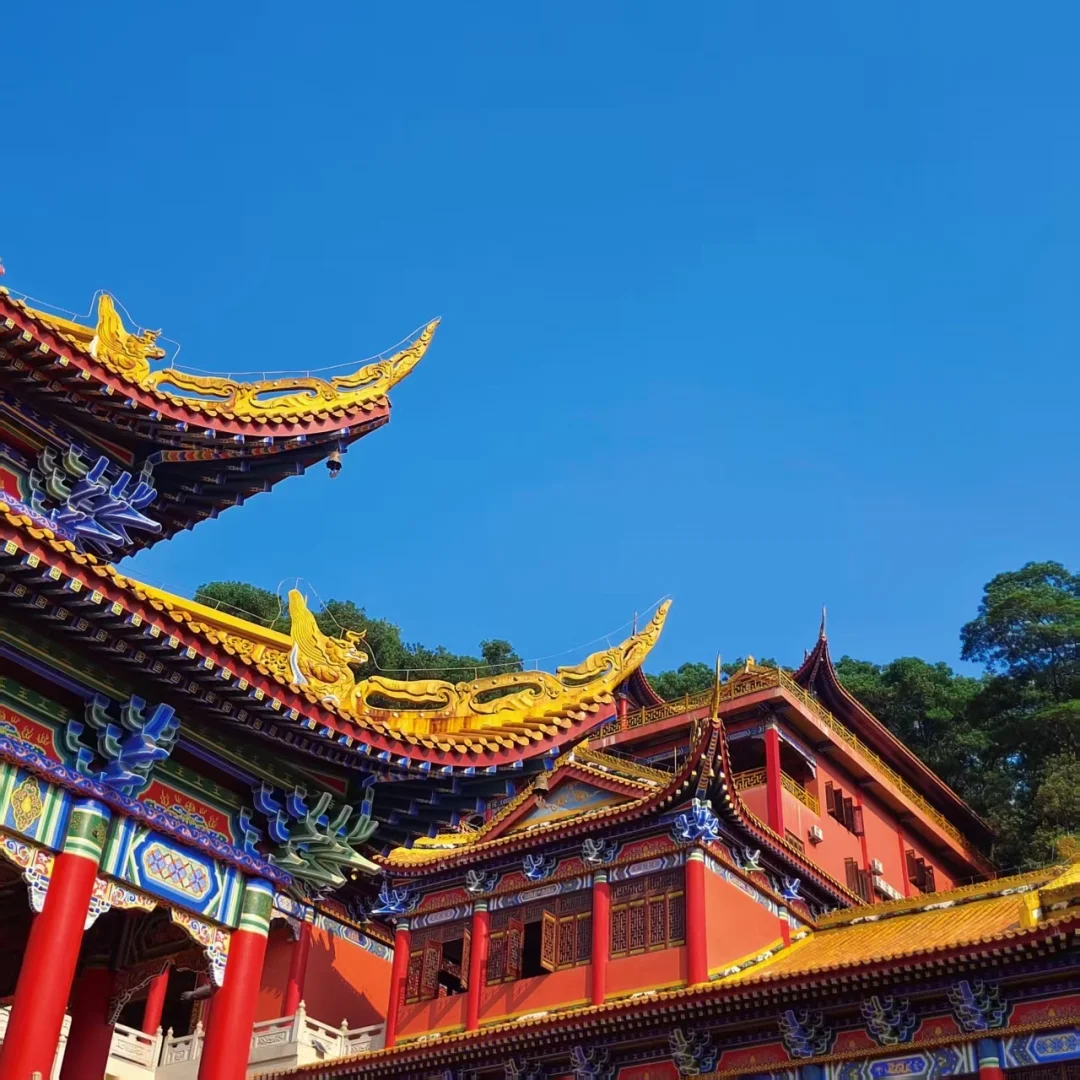 缘所求皆所愿