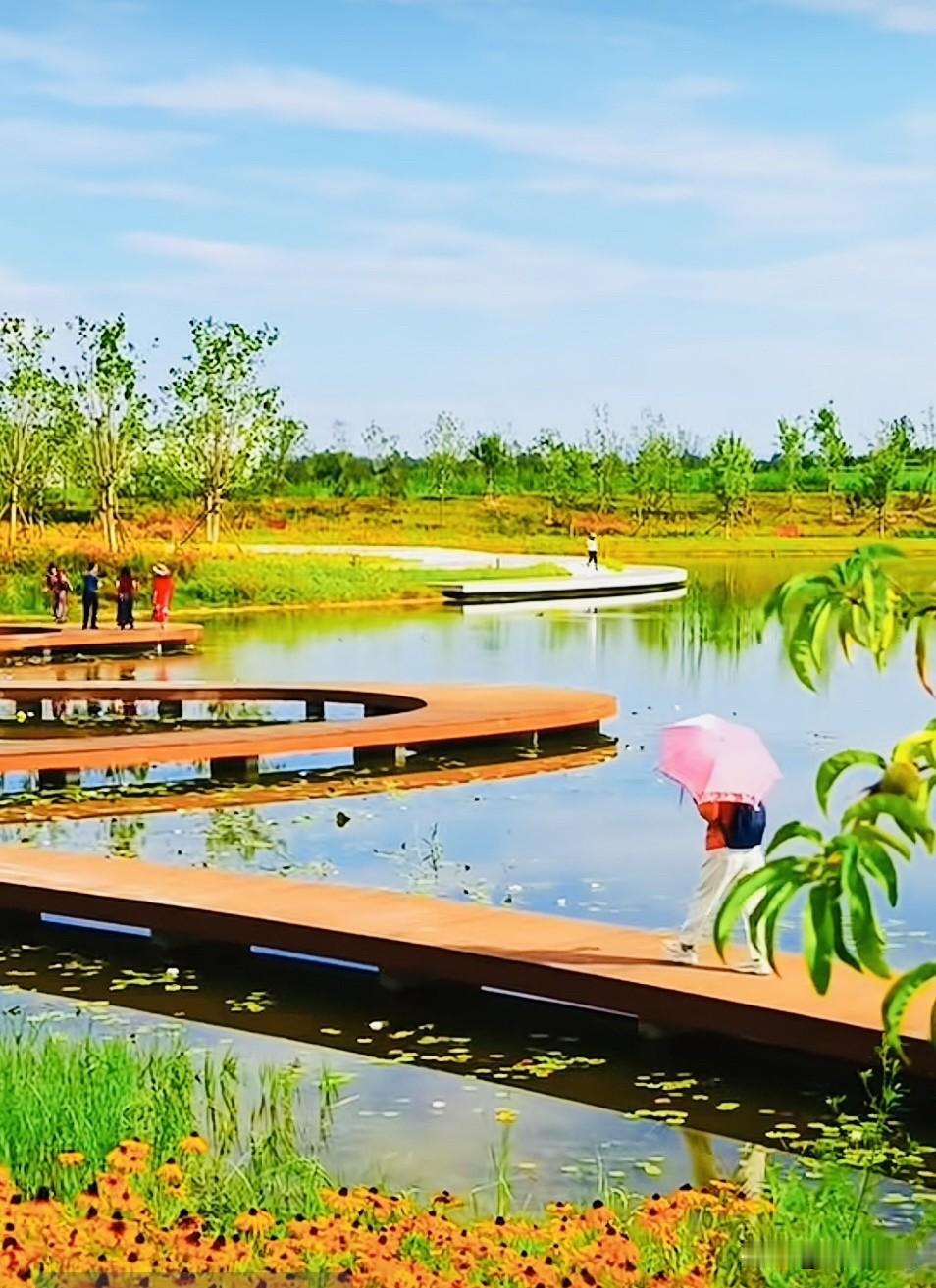湖边公园随手拍湖光潋滟，野花缤纷，山水与繁花相得益彰，偷得浮生片刻闲，沉醉于自然