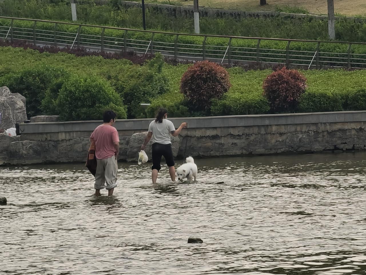 让你上网，是道德绑架你`，还是你脑中无弦，目中无人，脚下没线的缺德呢？这么美丽的