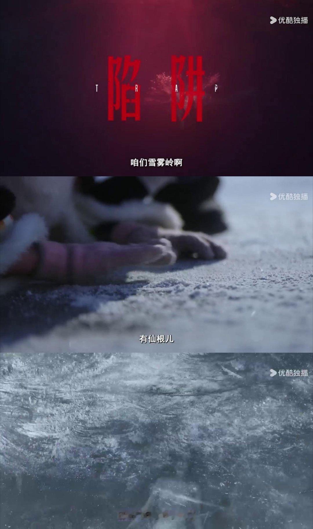 八字弱的都不敢点开踏雪寻踪预告看完预告最大的感受是：高级的悬疑从不是靠血腥画面堆
