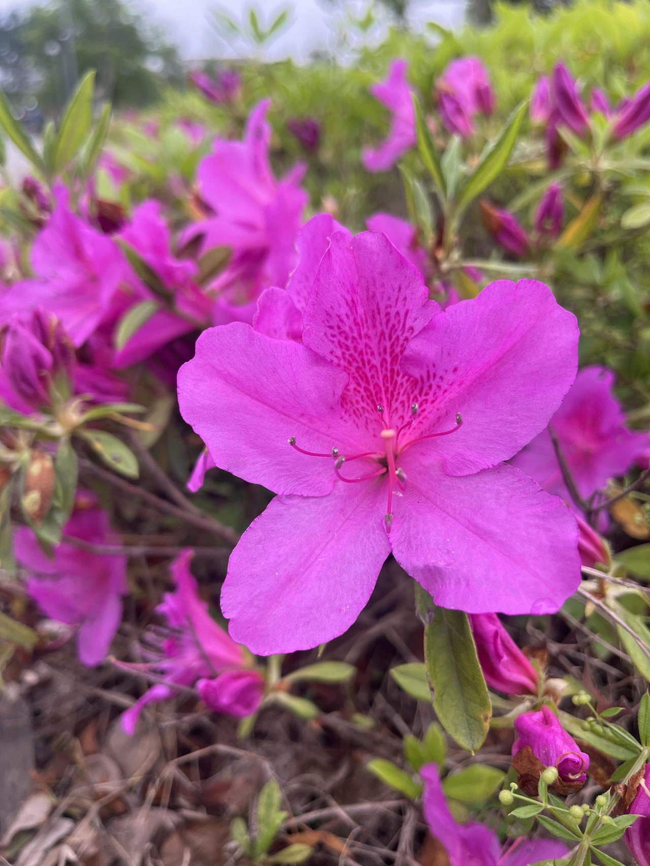 世界上最好的养生——尽量对自己好点

睁开眼先别急着摸手机，你的五脏六腑等了一宿