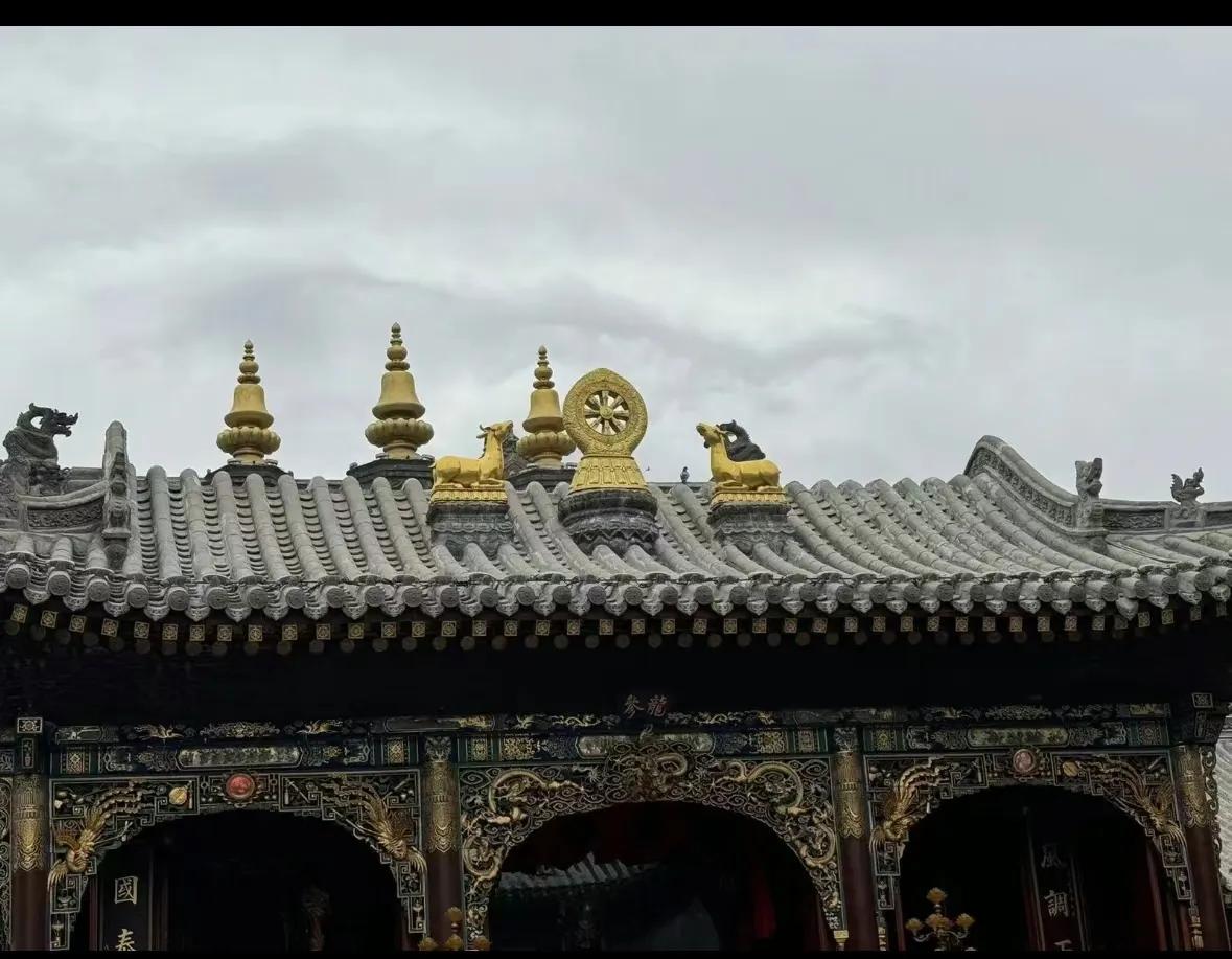 南无广济龙王菩萨[祈祷][祈祷][祈祷]五爷庙真龙现身。