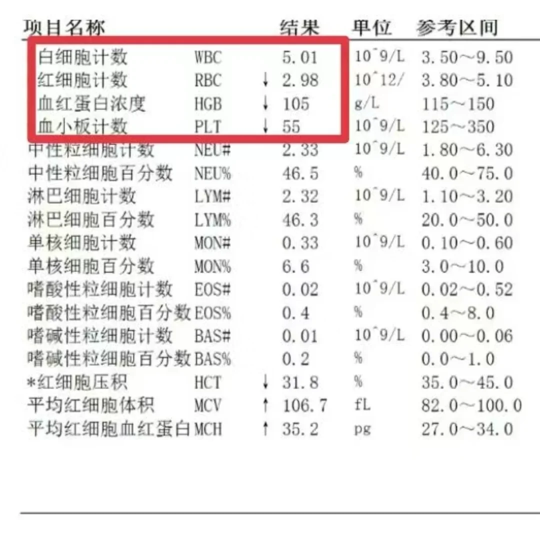 拿到血常规，一定要重点关注这4个指标