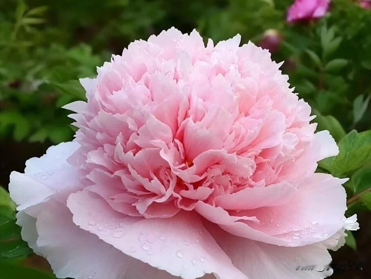 【小对联】
上：亲近；
下：……？