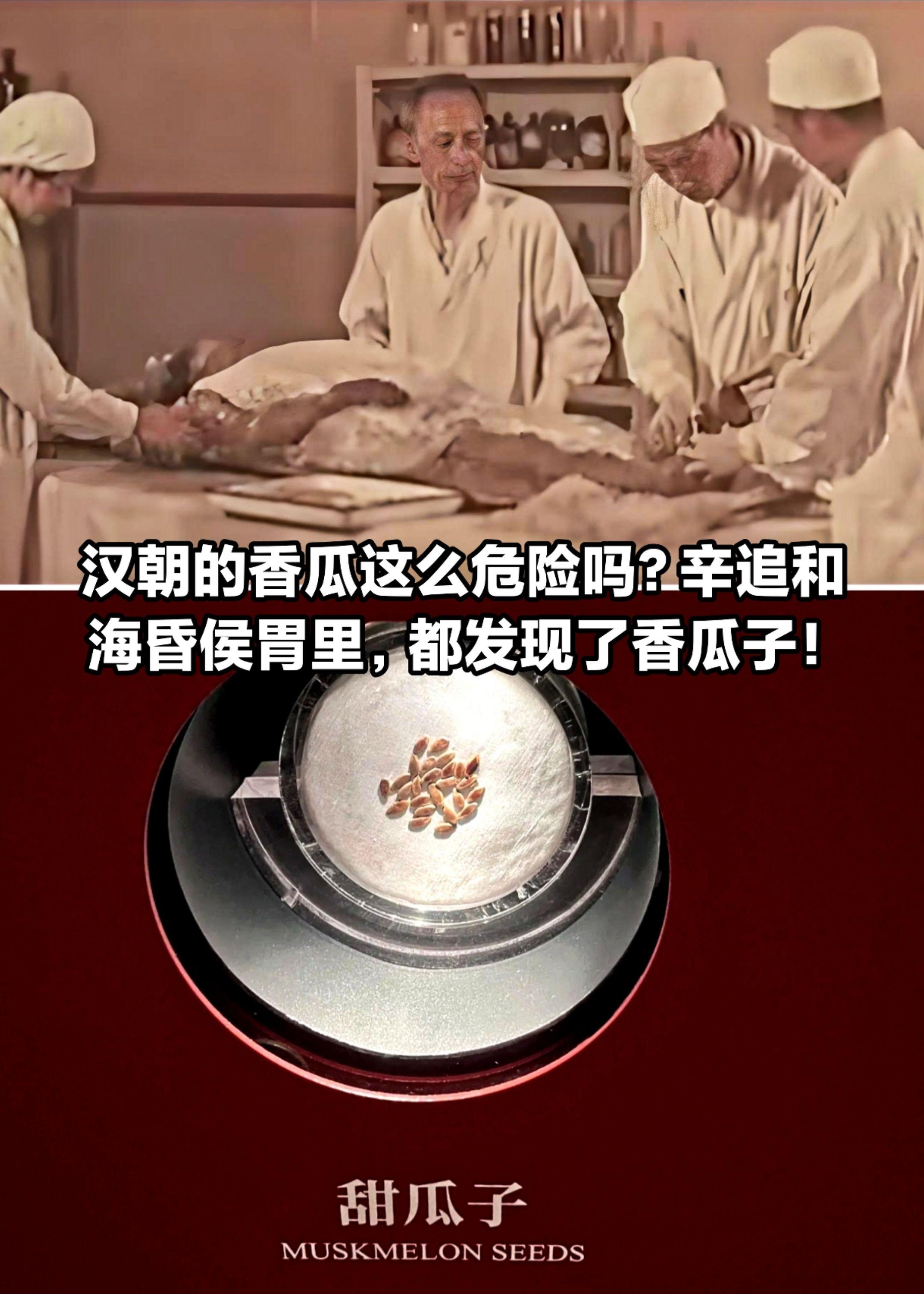 汉朝香瓜子这么危险？辛追和刘贺胃中都发现。