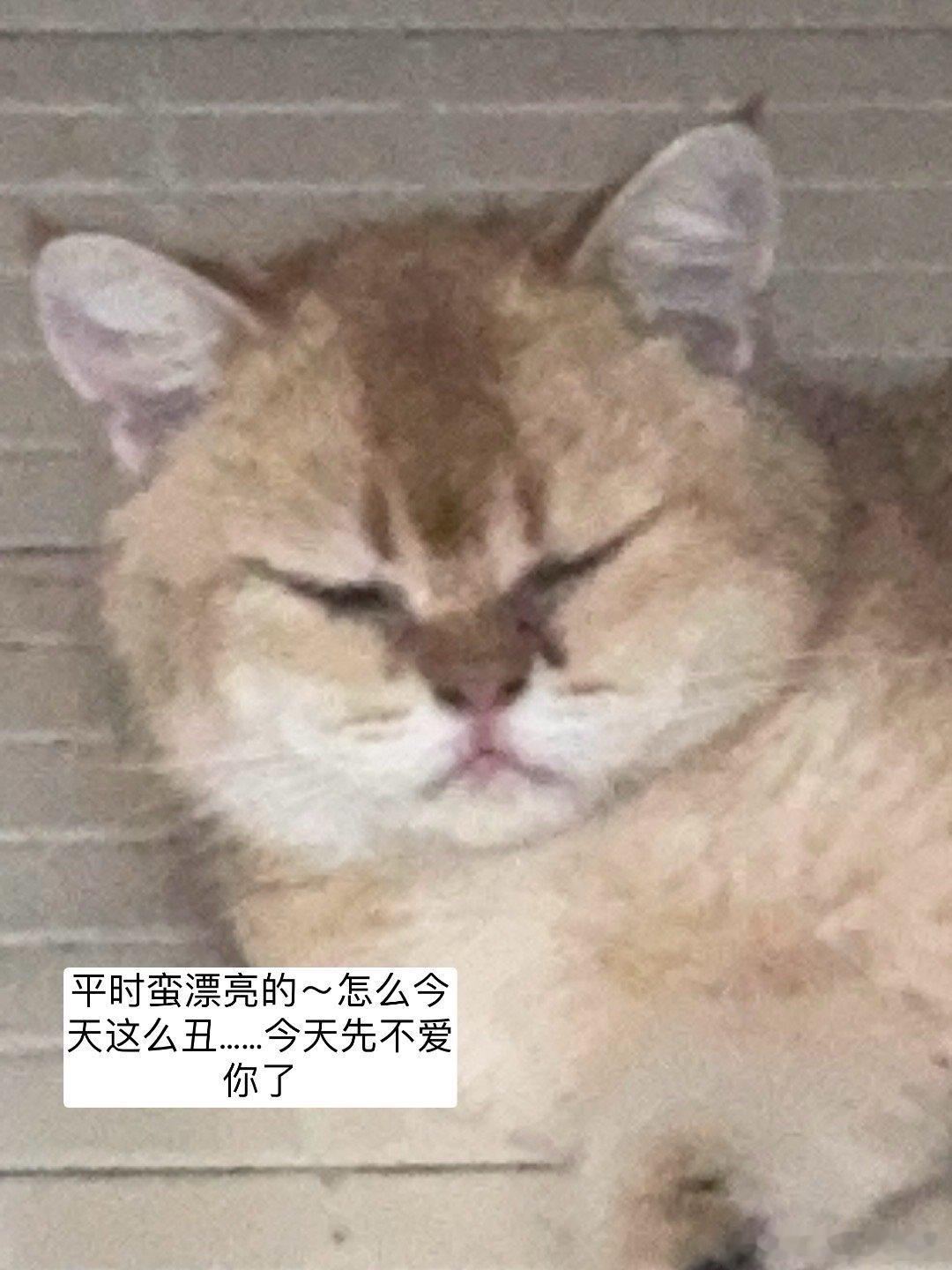 拉个屎需不需要跟这么紧？我不需要私人空间的吗？可不可以不要这样啊！你们的爱让我拉