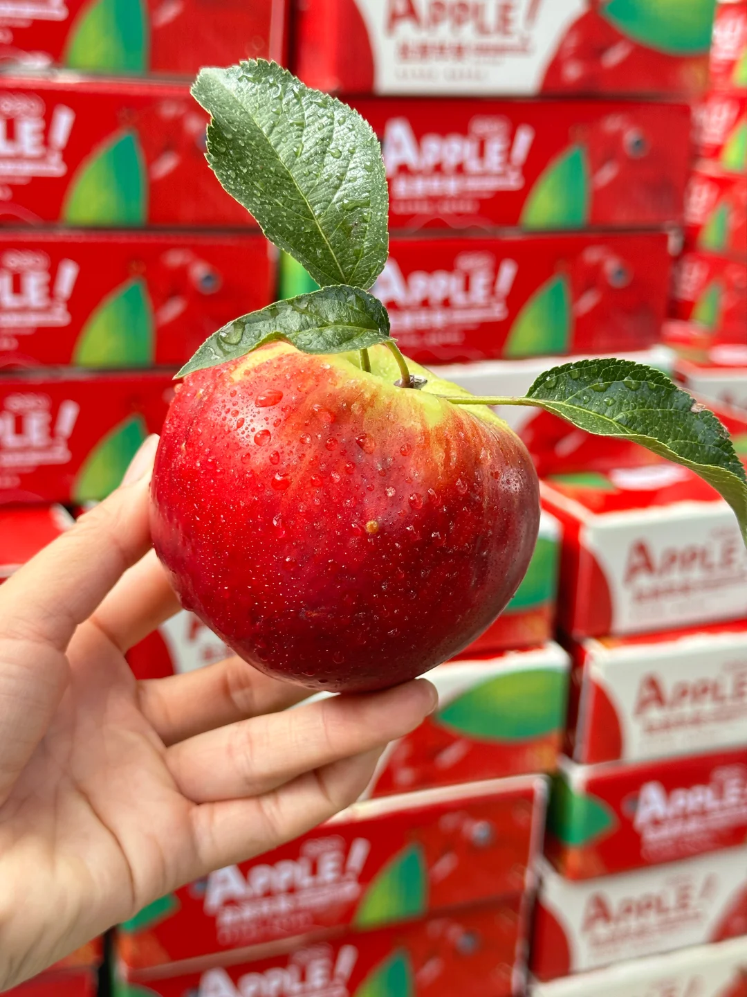 我不是卖苹果，我是爱吃苹果🍎