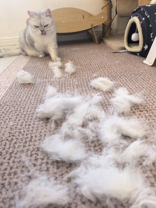 太好了是苏泊尔吸尘器！养猫人有救了😭