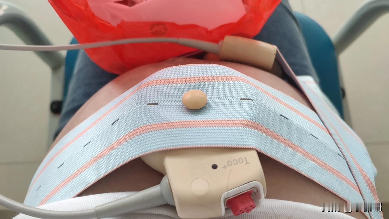 请个假，分享一只听隔壁放儿歌都很活跃的小老虎[泪奔]