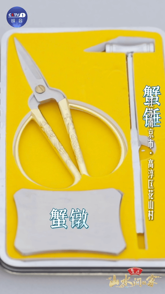 #螃蟹结伴上岸散步当场被抓#螃蟹们这是想来个说走就走的旅行吗？结果刚上岸就被人类
