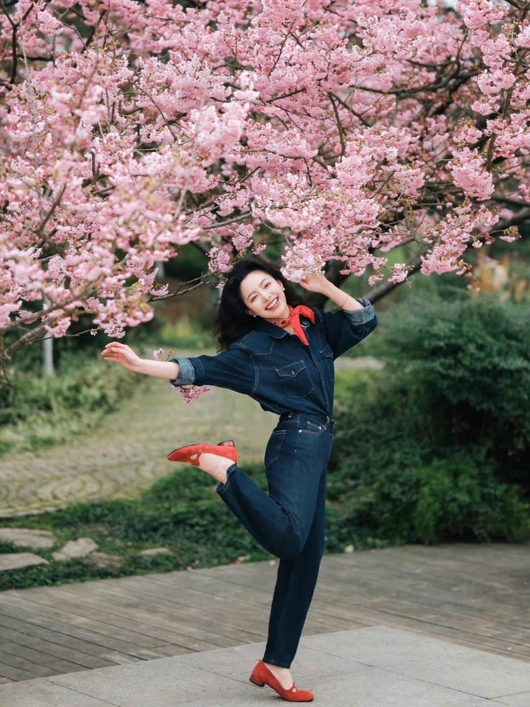 我的春天，是与樱花一万次的相逢