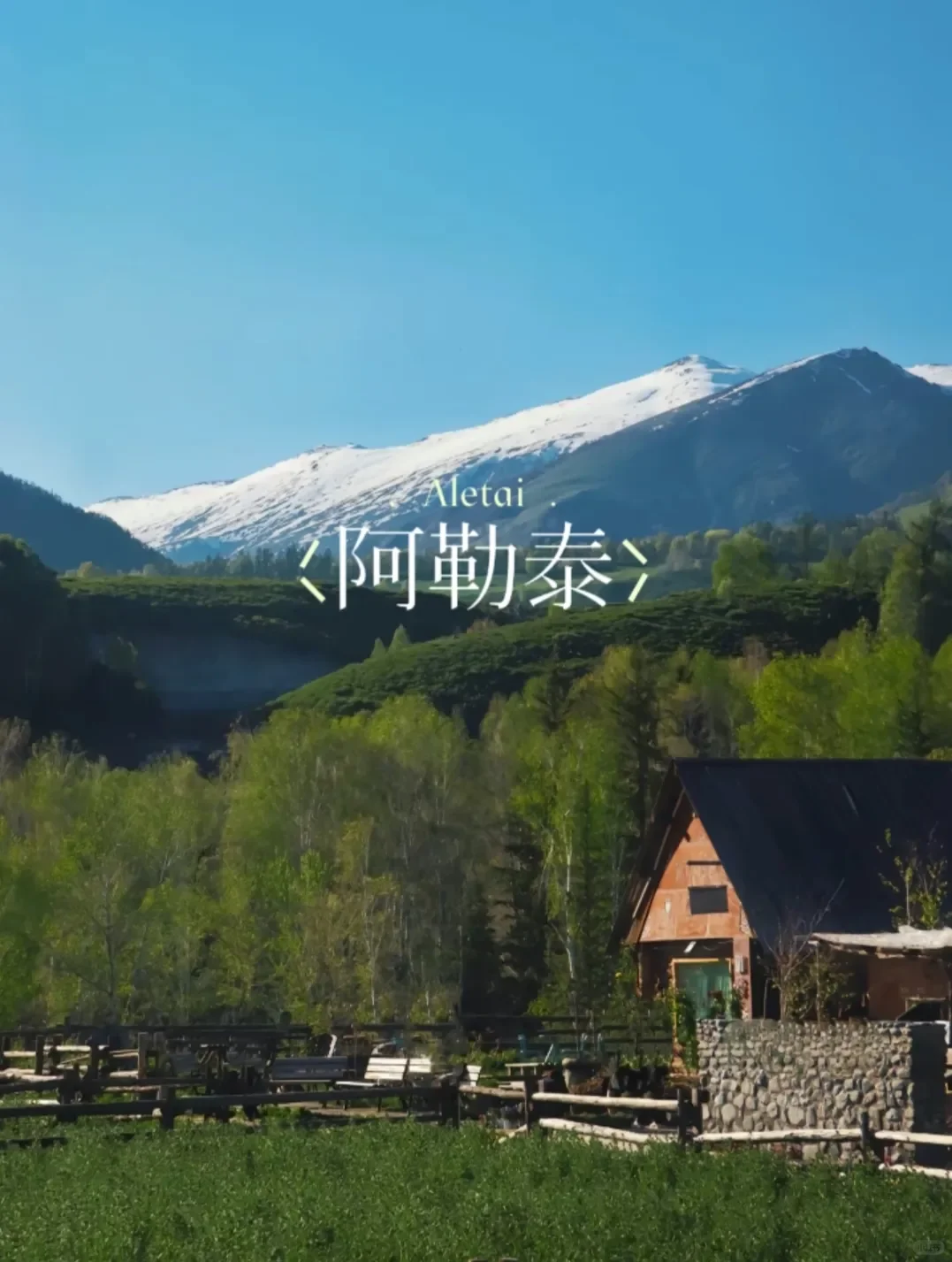 新疆🌲纯玩16日 | 南北疆全景