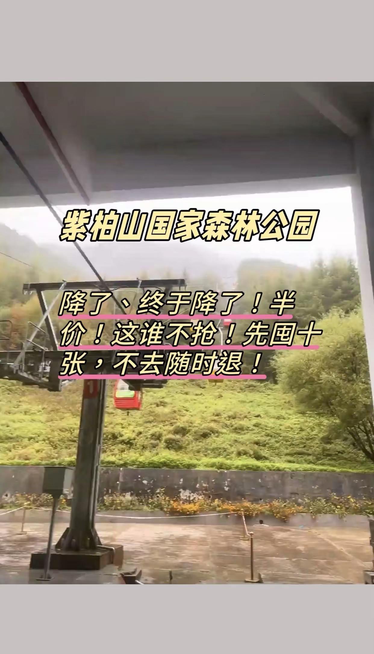 紫柏山国家森林公园 好玩到根本停不下来 美景尽收眼底让人陶醉 打卡拍照网红地 周