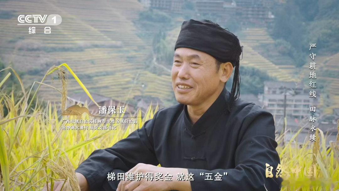 中国梯田美成油画 远离城市喧嚣，一头扎进梯田美景中。水光映天，田块错落，目之所及