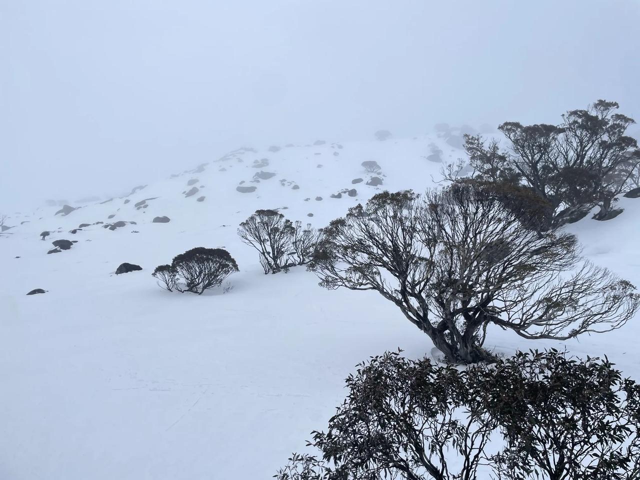 #分享一张你手机里的雪山湖水# 第一张是在雪山拍的照片，第二张是雪山脚下的湖水照