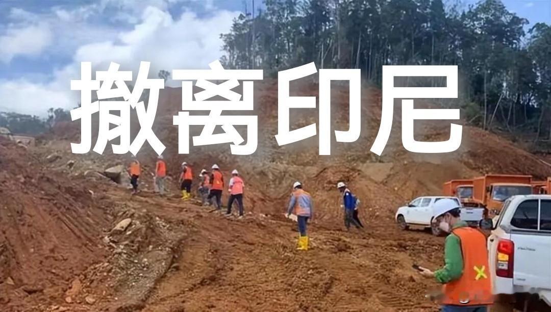 逼走中国工厂，却请印度来接盘，印尼到底图啥？

印尼这波操作很典型：先砍配额、涨