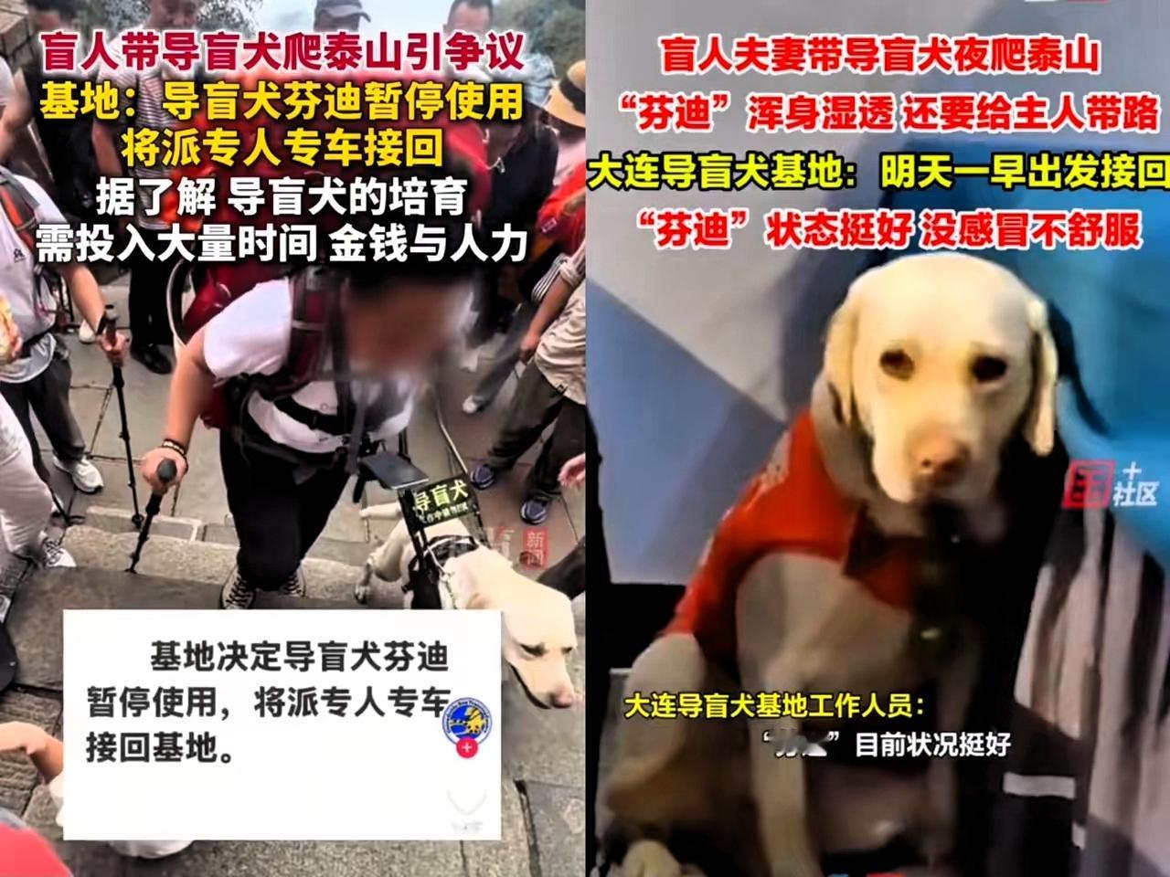 还记得那对在泰山“折腾”导盲犬的北京盲人夫妻吗？

最新消息炸锅了——这俩做了8