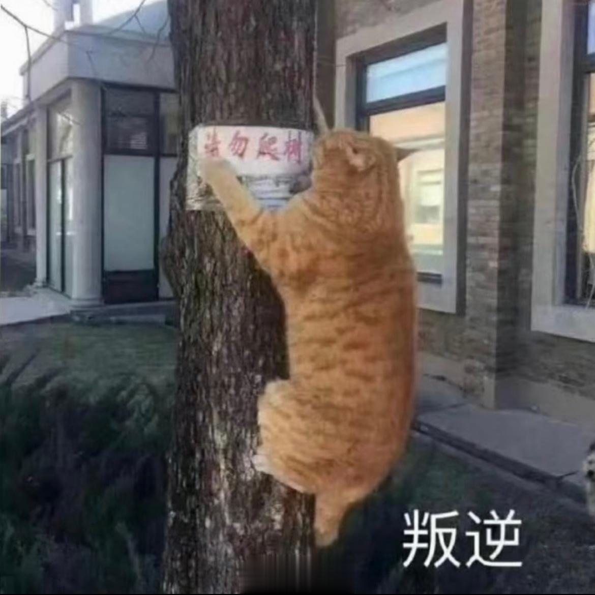 #感觉周五晚上要比周末更快乐#周五不喝酒，下一句[馋嘴] ​​​