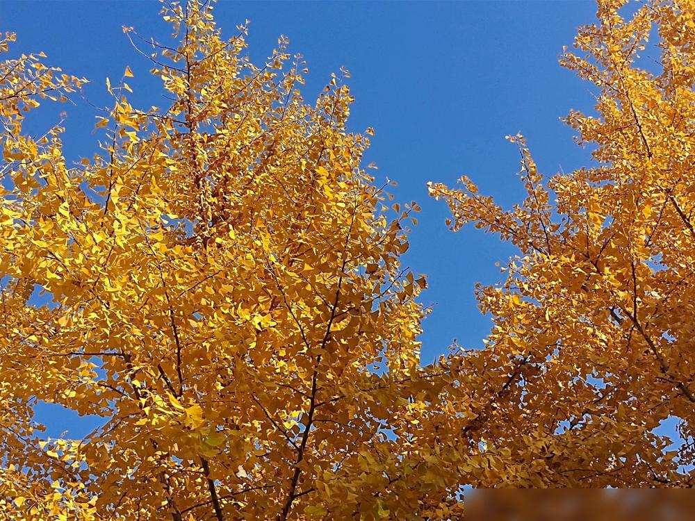 提醒坚持慢跑的老人做到: 1.千万不要每天跑，学会休息。我爸去年就是每天雷打不动