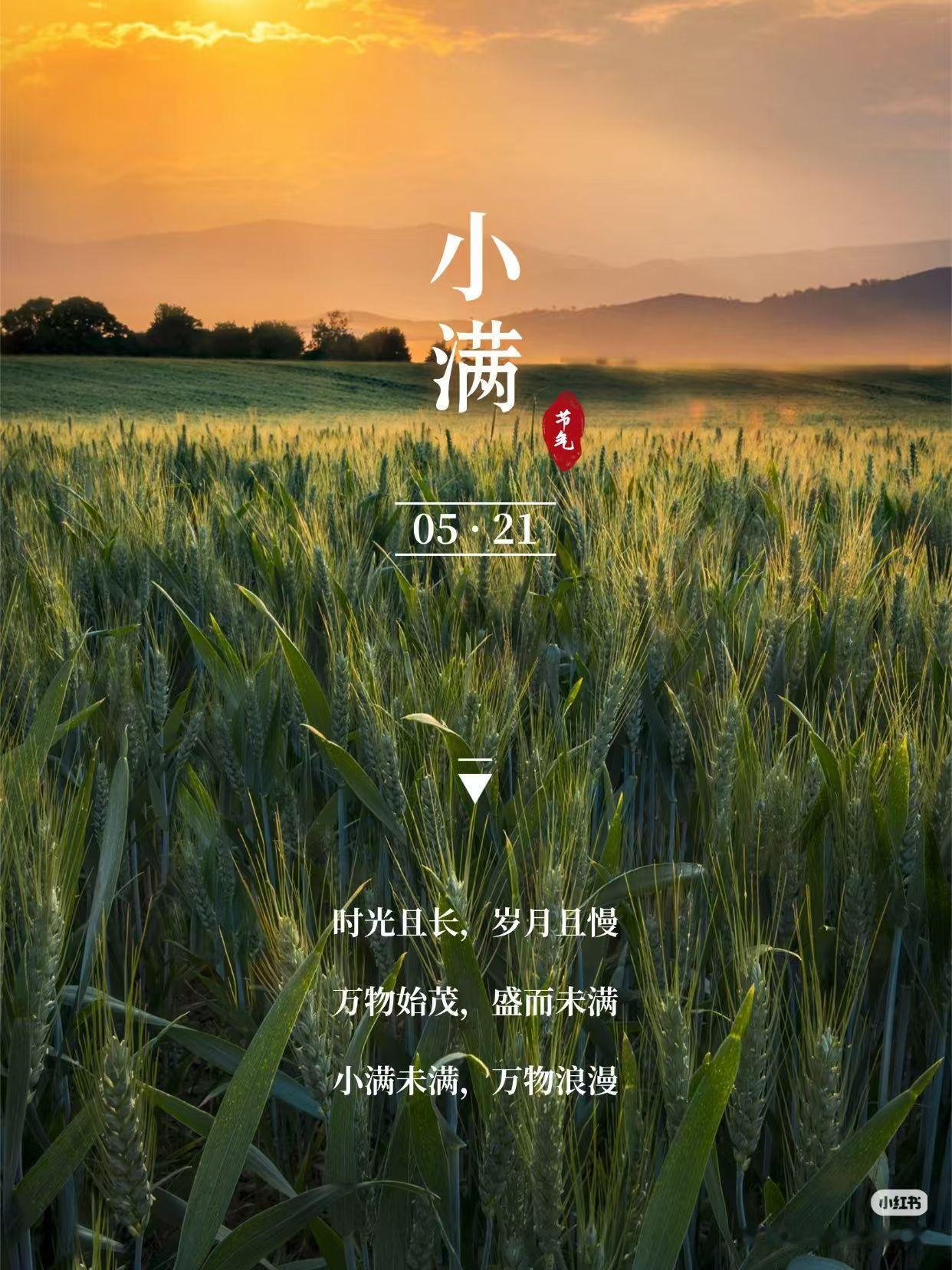 夏意渐浓，小满将至，
一半烟火，一半诗意！
​人生不用圆满  小满就好[玫瑰][