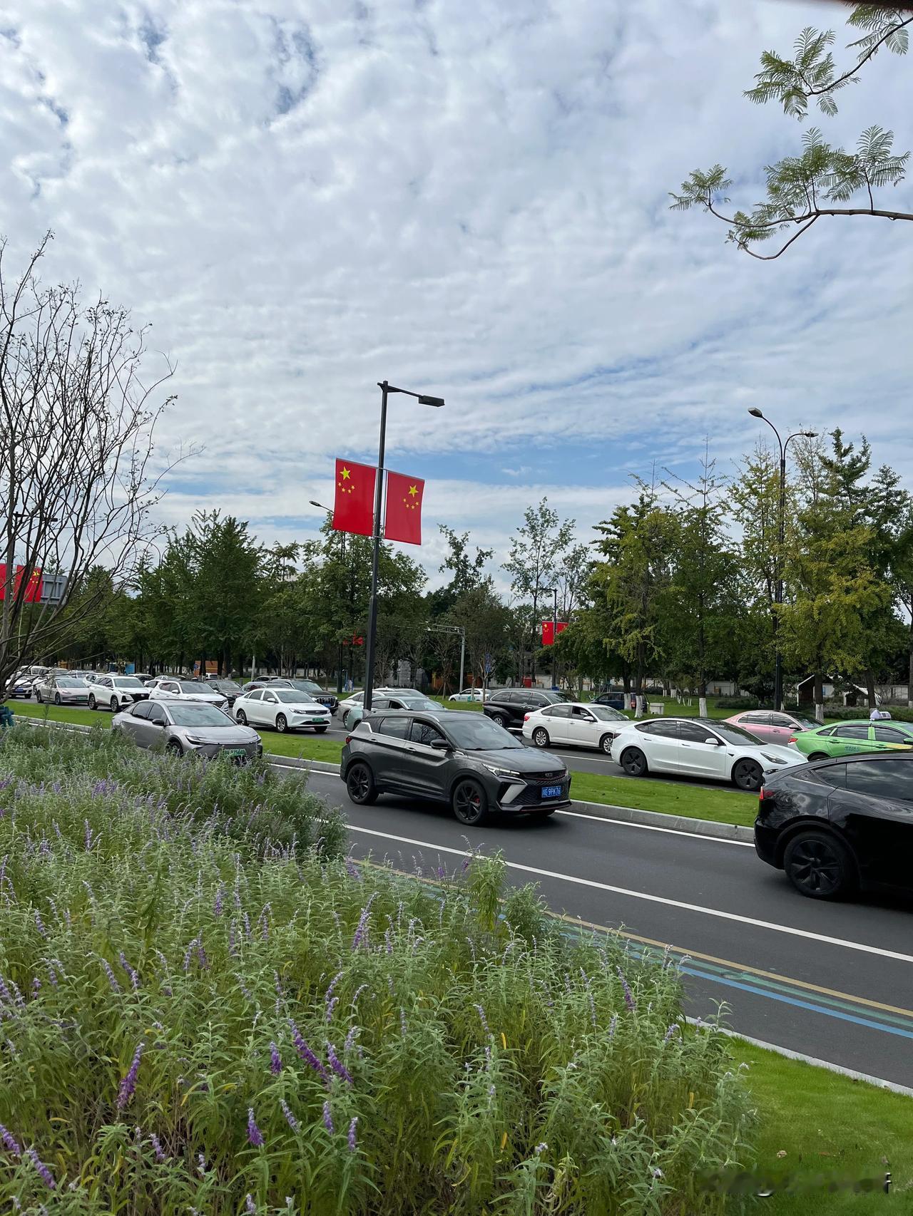 
在婆家吃过午饭，赶去双流我妈家。
成都的每条街道都在堵车，幸好我没开车，选择地