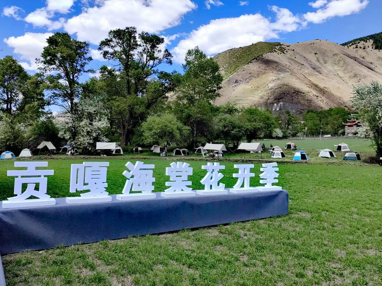 到了高原醉美的季节，就在新都桥旁边哦。