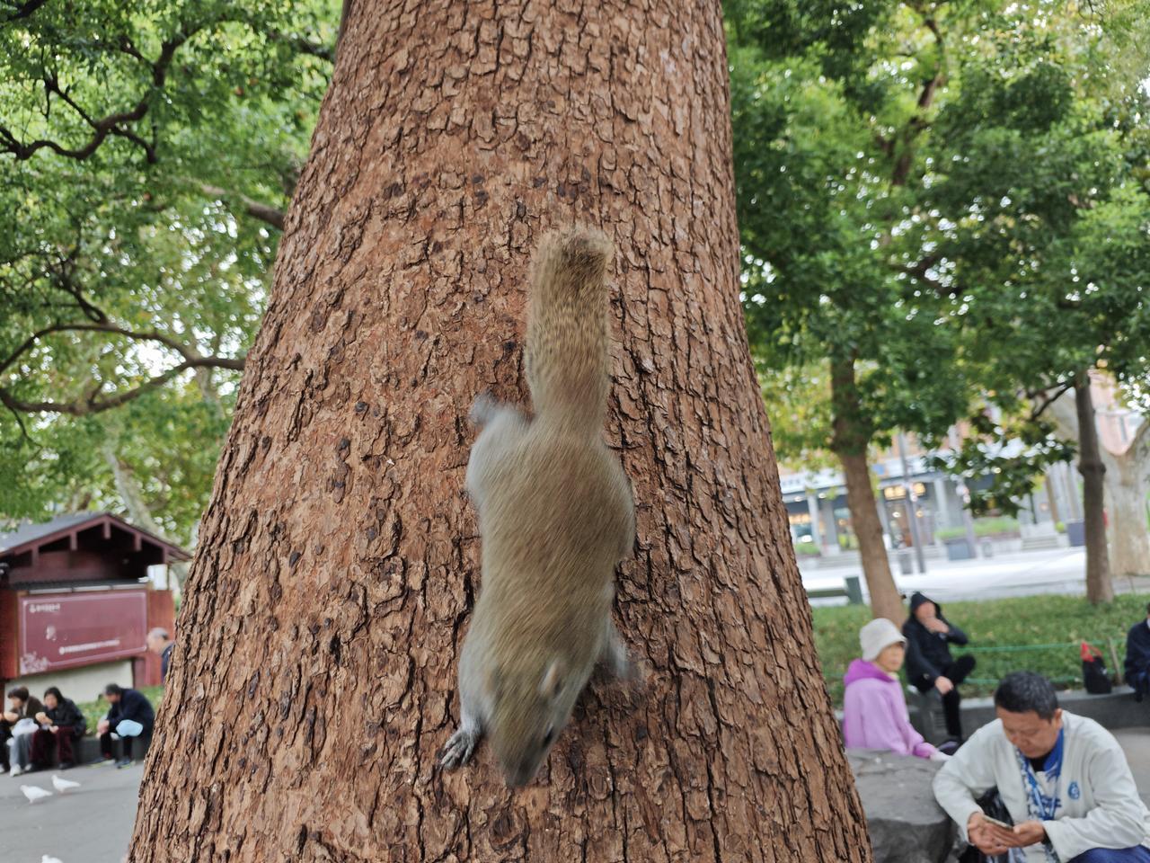 多地试行中小学春秋假可以让学生能亲近自然，看万物生长，充盈生命体验；还能饱览祖国