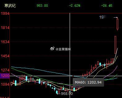 1200说的，也快翻倍了寒武纪 sh688256[股票] 