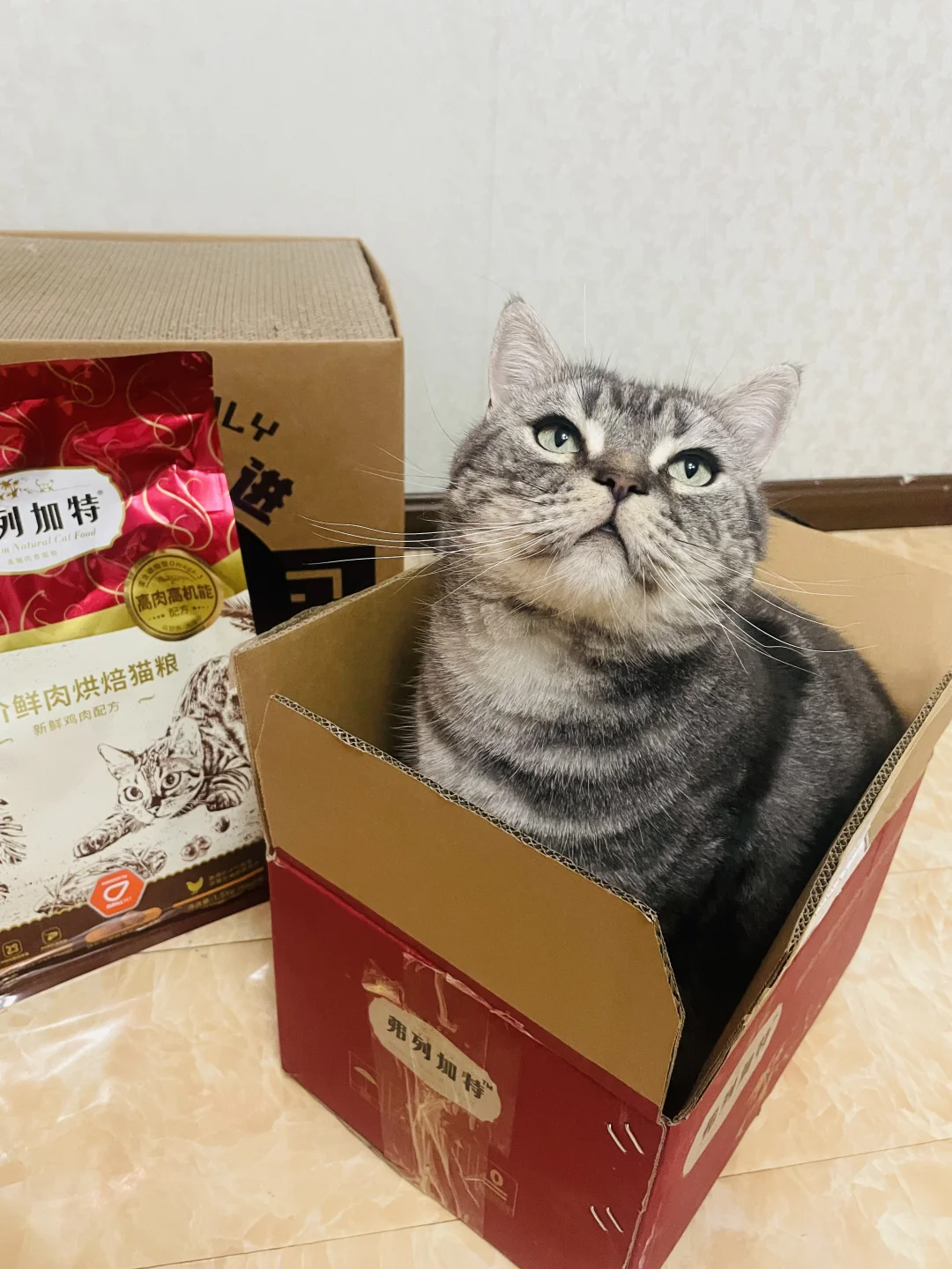 怎么感觉给它们吃烘焙猫粮食欲大增？